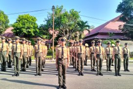 WhatsApp Image 2025-08-11 at 15.27.07